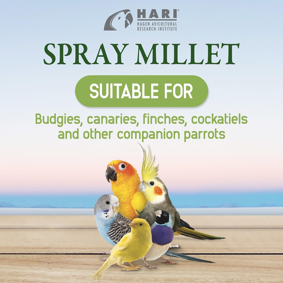 Living World - Millet Spray for Birds, 3.5 Oz – Premium Treat for Budgies, Canaries, Finches, Cockatiels and Other Pet Birds
