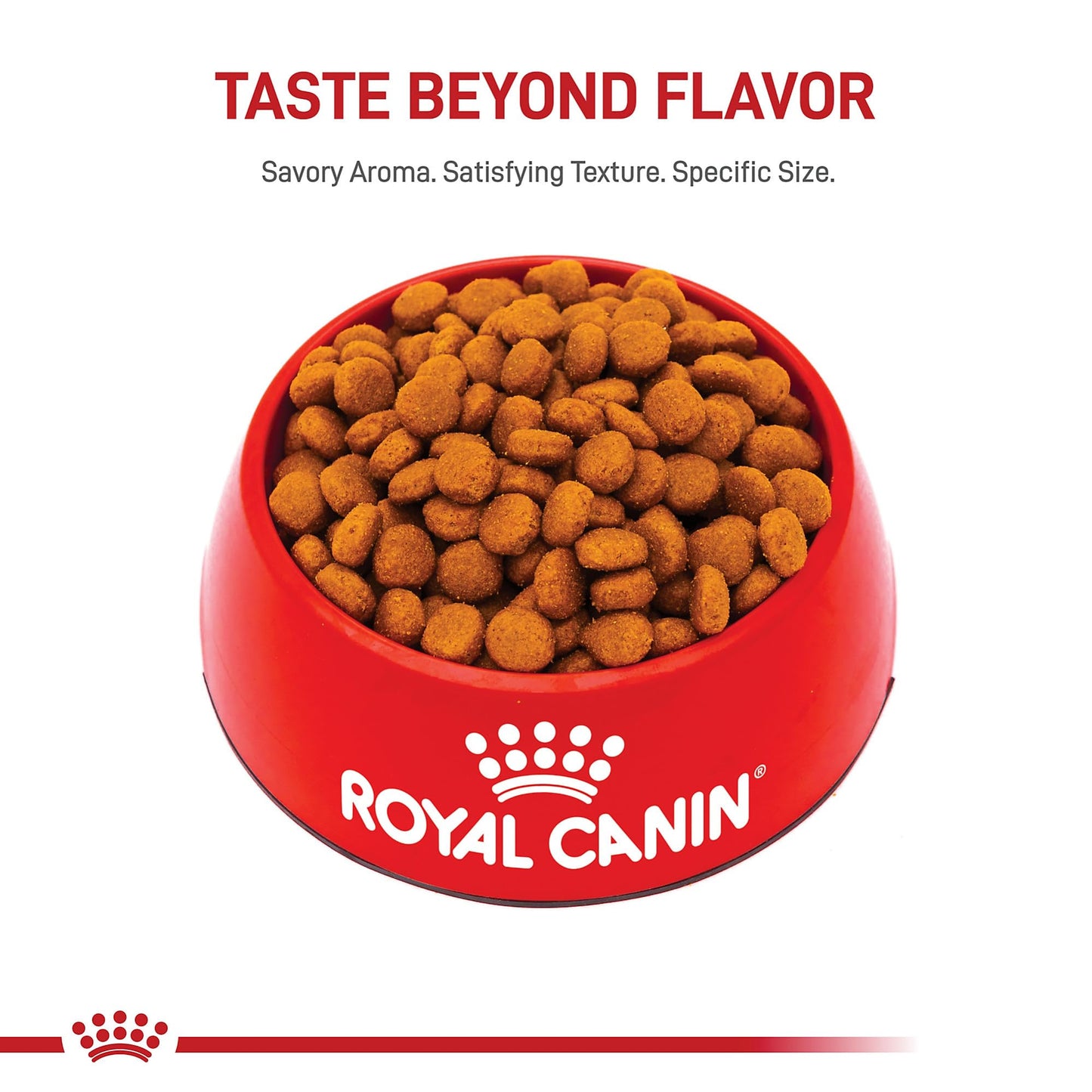 Royal Canin Size Health Nutrition Large Adult Dry Dog Food, 4 lb Bag