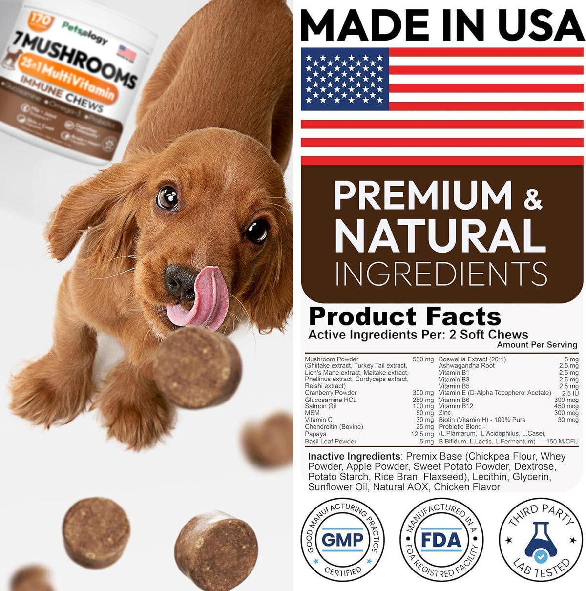 Mushroom Chews for Dogs 340 Count 2-Pack Turkey Tail Lion's Mane Shiitake & Reishi