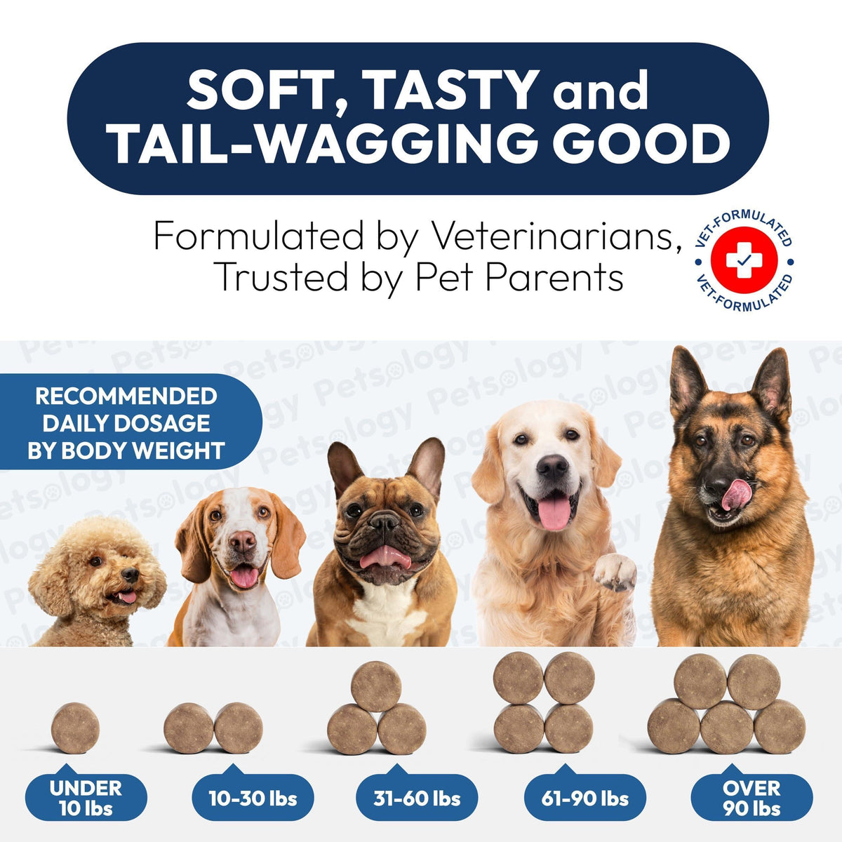 Probiotics for Dogs 170 Chews Digestive Enzymes & Prebiotics Gut Health