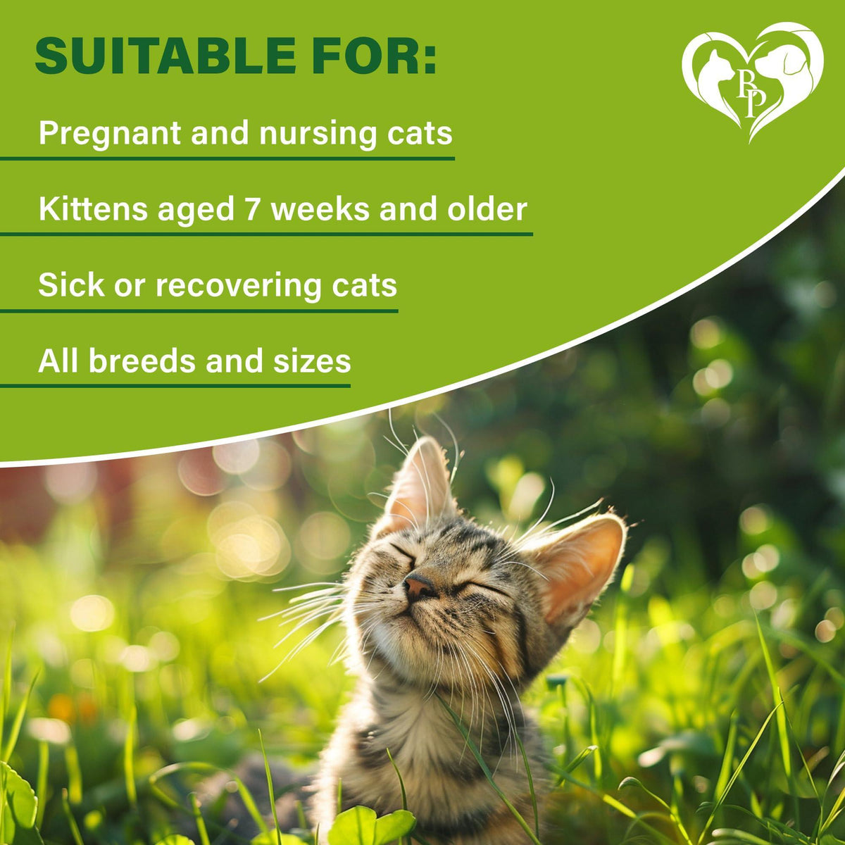 Flea & Tick Collar for Cats 12-Month Protection Essential Oil 1 Count