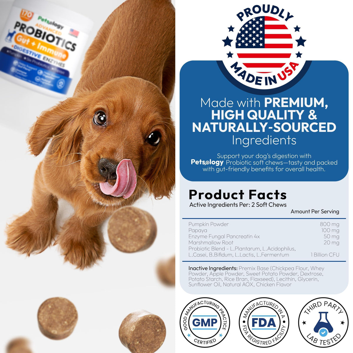 Probiotics for Dogs 170 Chews Digestive Enzymes & Prebiotics Gut Health