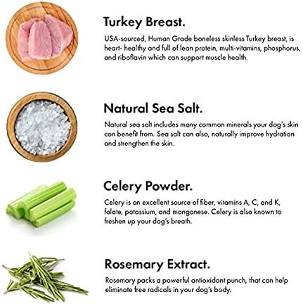 Turkey & Pumpkin 5 oz. Dog Jerky Treat | Human Grade | High Protein