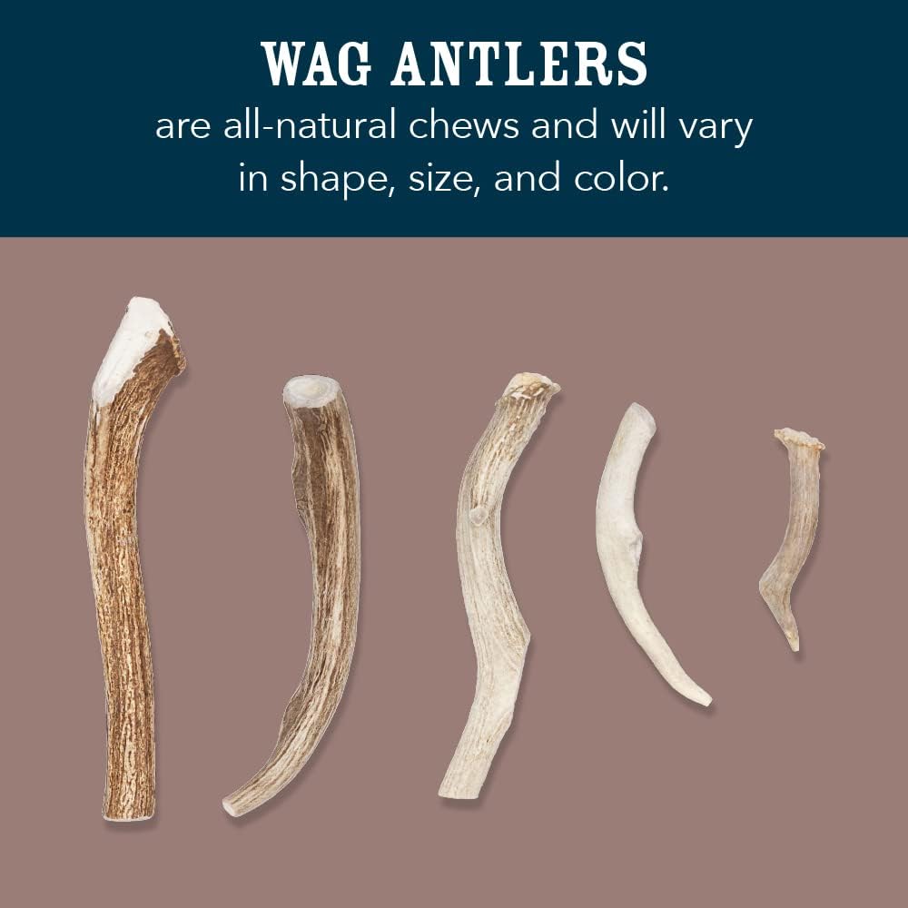 Amazon Brand - Wag Dog Elk Antler Chew, Naturally Shed, Whole, Large 8-9.5 inches, Long Lasting for Aggressive Chewers, Best for Dogs 30-45 lbs, 3.60 Ounce (Pack of 1)