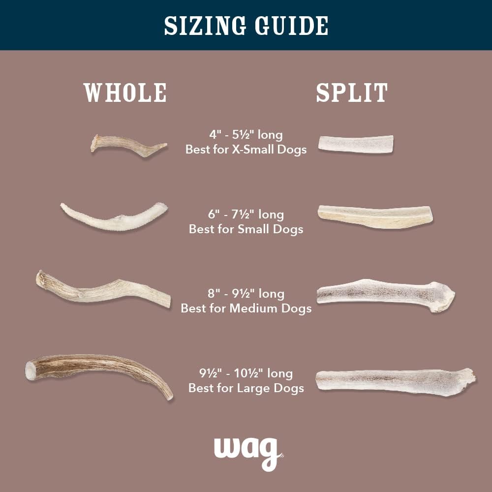 Amazon Brand - Wag Dog Elk Antler Chew, Naturally Shed, Whole, Large 8-9.5 inches, Long Lasting for Aggressive Chewers, Best for Dogs 30-45 lbs, 3.60 Ounce (Pack of 1)