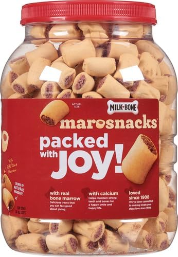 Milk-Bone Spooky Biscuits, Halloween Dog Treats, 24 Oz. Pail
