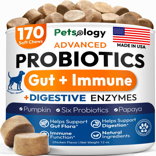 Probiotics for Dogs 170 Chews Digestive Enzymes & Prebiotics Gut Health