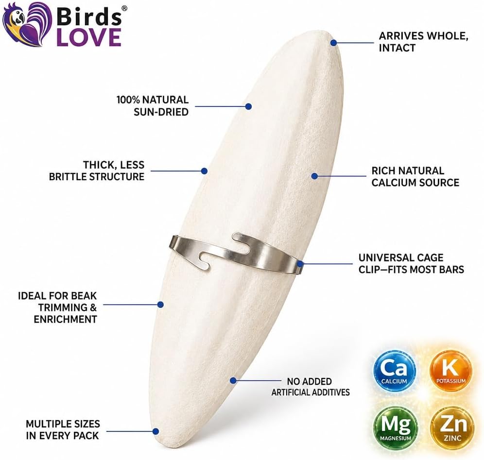 Birds LOVE 3.5-4″ Cuttlebone for Birds – 100% Natural Sun-Dried Calcium & Beak Conditioning Supplement for Parakeets, Budgies, Cockatiels, Finches & Canaries – 4 Pack with Holder – Made in Vietnam
