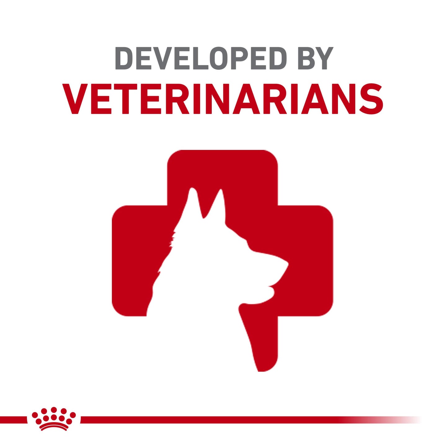 Royal Canin Size Health Nutrition Small Adult Dry Dog Food, 4 lb Bag