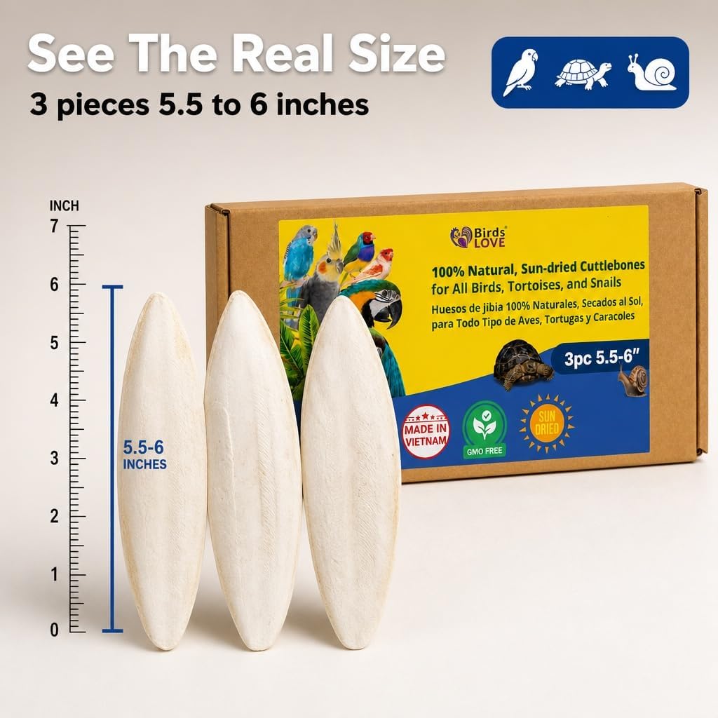 Birds LOVE 3.5-4″ Cuttlebone for Birds – 100% Natural Sun-Dried Calcium & Beak Conditioning Supplement for Parakeets, Budgies, Cockatiels, Finches & Canaries – 4 Pack with Holder – Made in Vietnam
