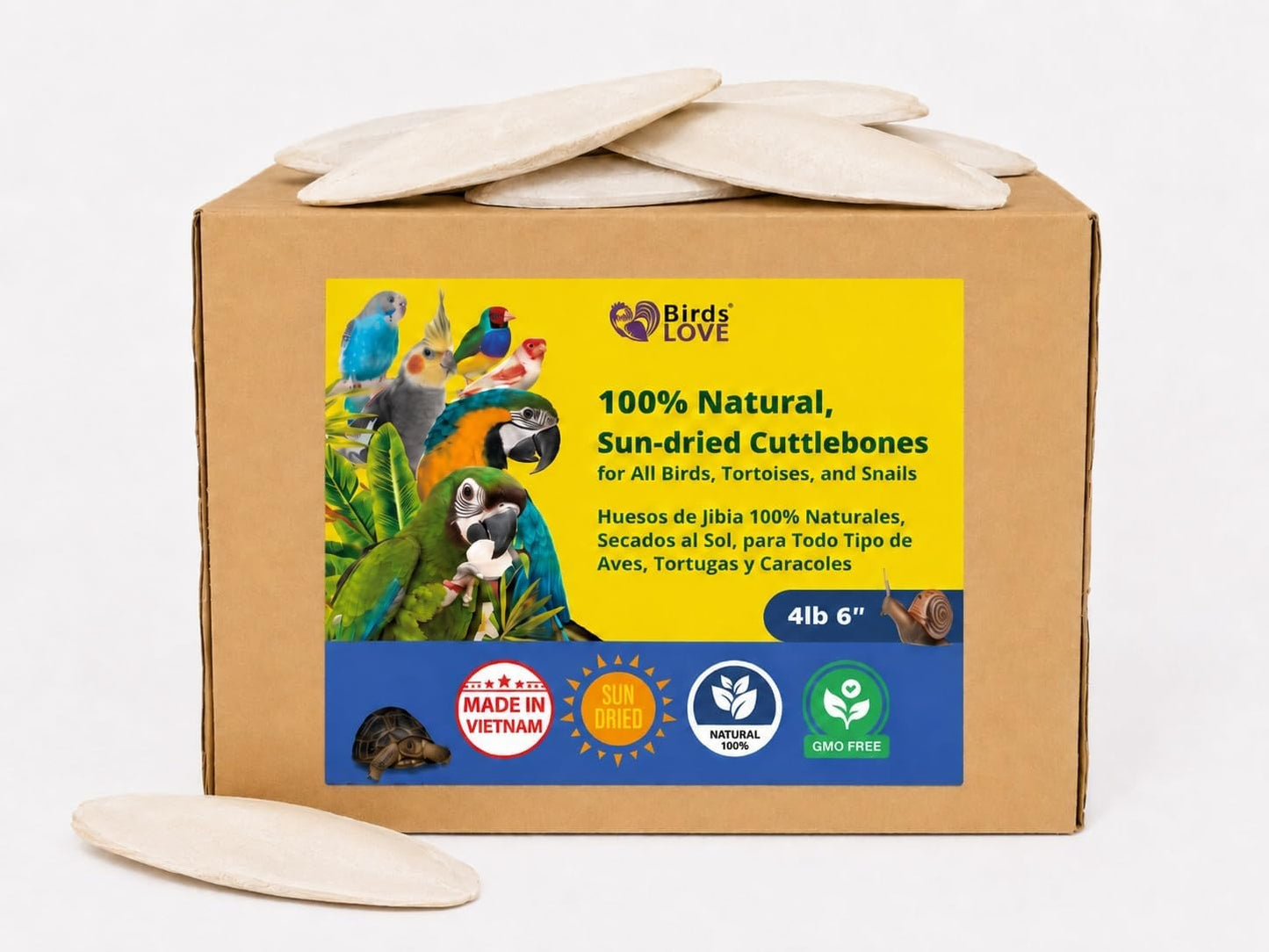 Birds LOVE 3.5-4″ Cuttlebone for Birds – 100% Natural Sun-Dried Calcium & Beak Conditioning Supplement for Parakeets, Budgies, Cockatiels, Finches & Canaries – 4 Pack with Holder – Made in Vietnam