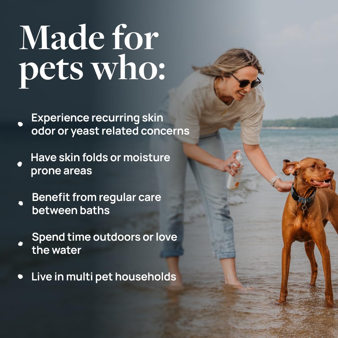 Veterinary Formula Clinical Care Antiseptic & Antifungal Medicated Shampoo and Spray for Dogs and Cats - Helps Alleviate Scaly, Greasy, or Red Skin - Paraben, Dye, and Soap Free, 2 Pack Bundle