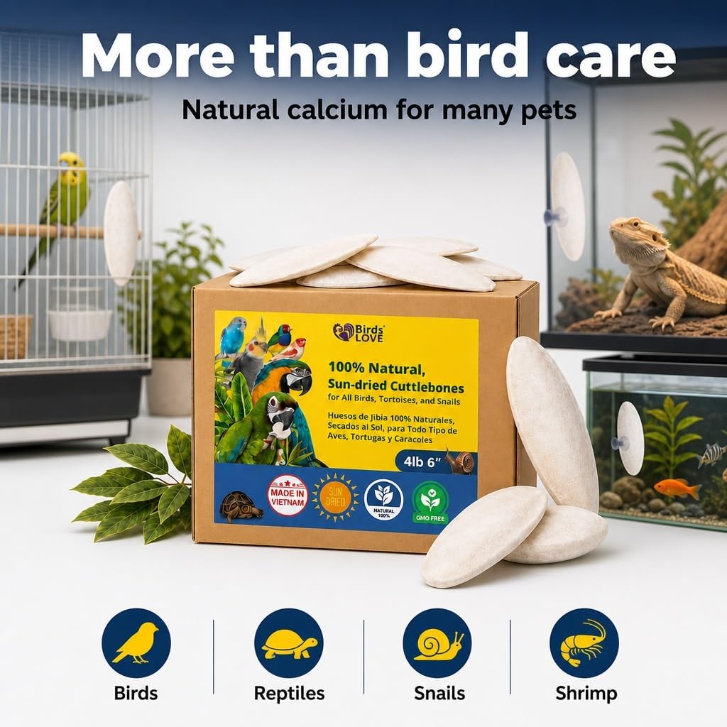 Birds LOVE 3.5-4″ Cuttlebone for Birds – 100% Natural Sun-Dried Calcium & Beak Conditioning Supplement for Parakeets, Budgies, Cockatiels, Finches & Canaries – 4 Pack with Holder – Made in Vietnam