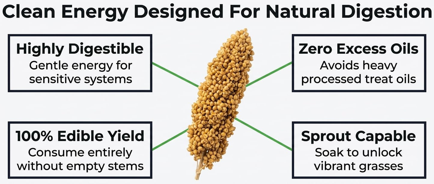 Birds LOVE® Millet Tips & Tails for Birds – Premium Spray Millet Treat, Grown in the USA – Natural & Healthy Bird Food for Parakeets, Cockatiels, Budgies, Lovebirds, Finches, Canaries & Parrots – 1 lb