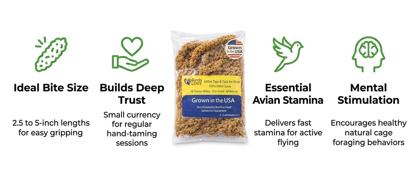 Birds LOVE® Millet Tips & Tails for Birds – Premium Spray Millet Treat, Grown in the USA – Natural & Healthy Bird Food for Parakeets, Cockatiels, Budgies, Lovebirds, Finches, Canaries & Parrots – 1 lb