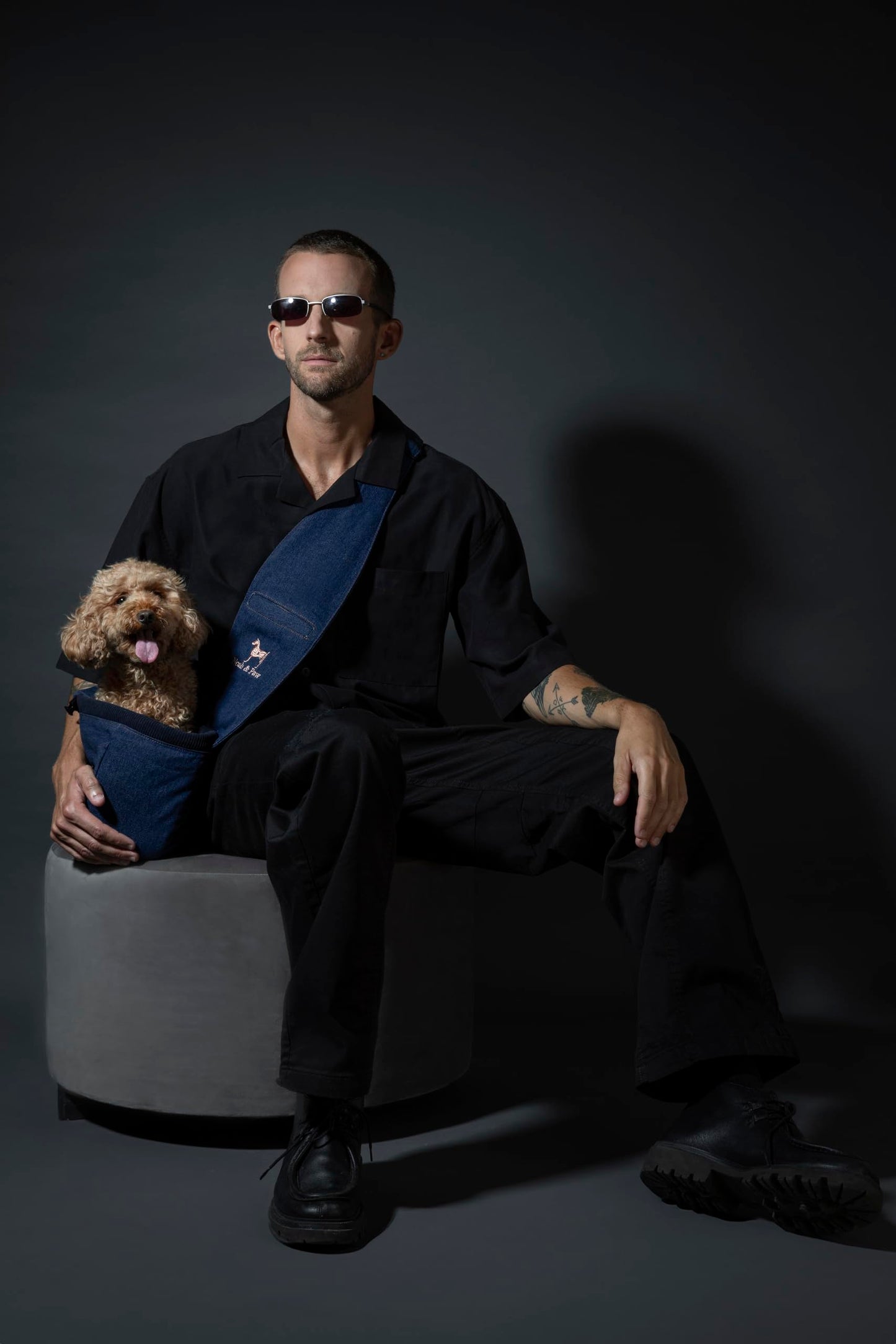 Noah & Paw Dog Sling Carrier for Small Dogs 5-18lb, Dog Sling for Small Dogs and Cats, Dog Carrier with Adjustable Padded Strap, Denim Lined with Fur, 3X Safety Features, Machine Washable