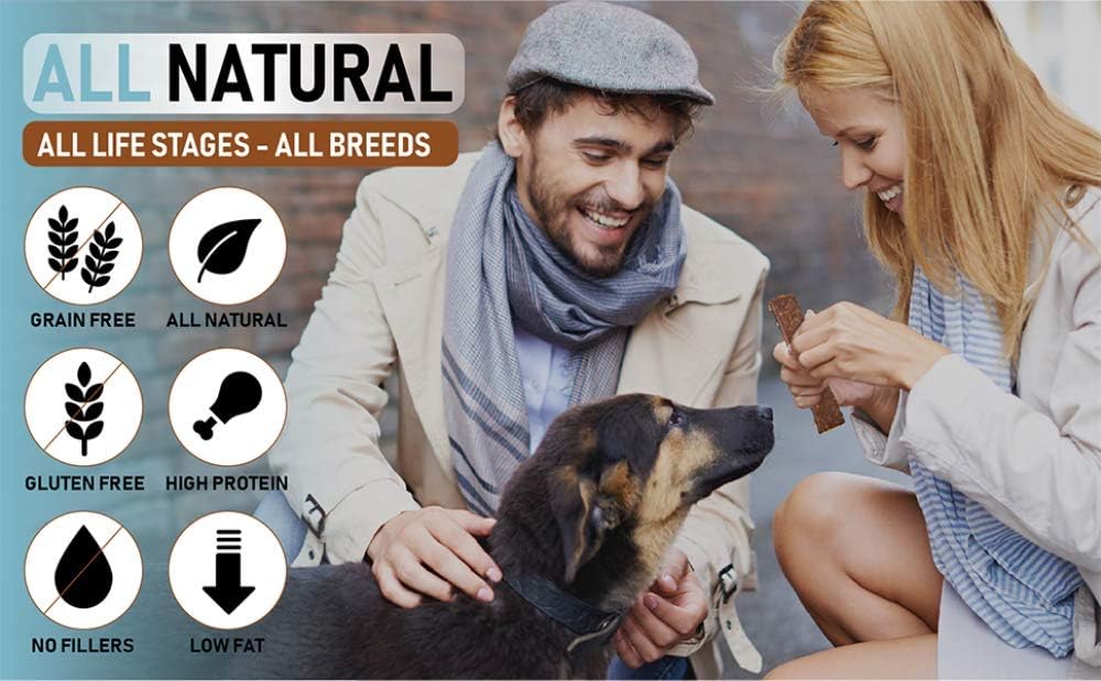 Turkey & Pumpkin 5 oz. Dog Jerky Treat | Human Grade | High Protein