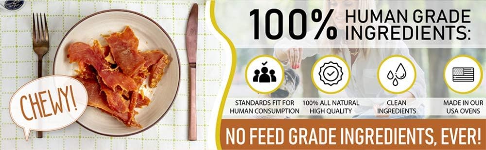 Turkey & Pumpkin 5 oz. Dog Jerky Treat | Human Grade | High Protein