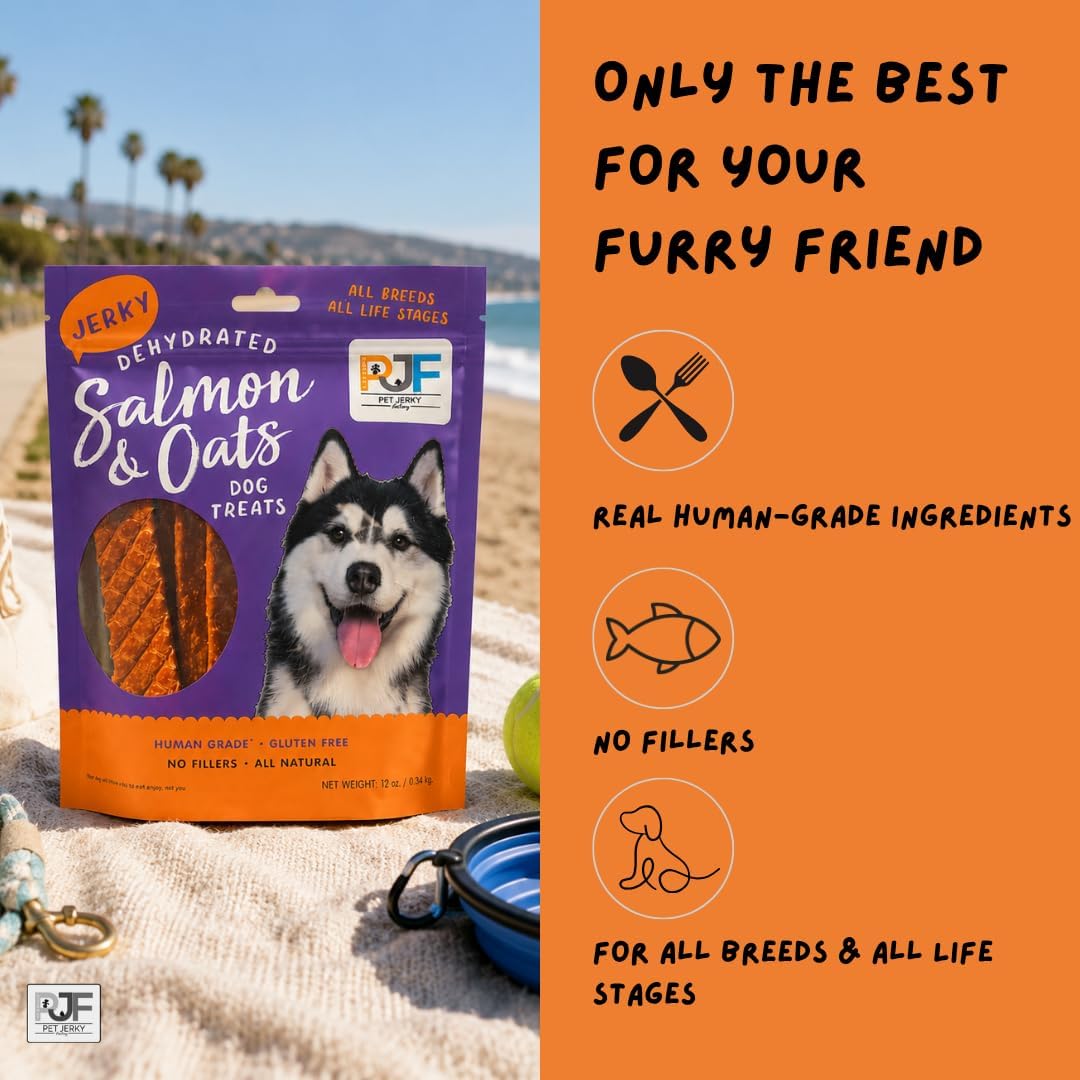 Turkey & Pumpkin 5 oz. Dog Jerky Treat | Human Grade | High Protein