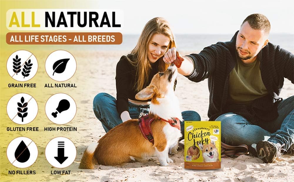 Turkey & Pumpkin 5 oz. Dog Jerky Treat | Human Grade | High Protein