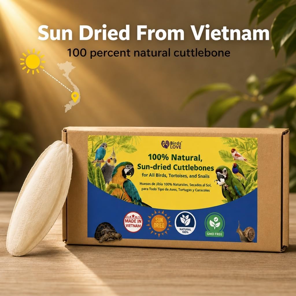 Birds LOVE 3.5-4″ Cuttlebone for Birds – 100% Natural Sun-Dried Calcium & Beak Conditioning Supplement for Parakeets, Budgies, Cockatiels, Finches & Canaries – 4 Pack with Holder – Made in Vietnam