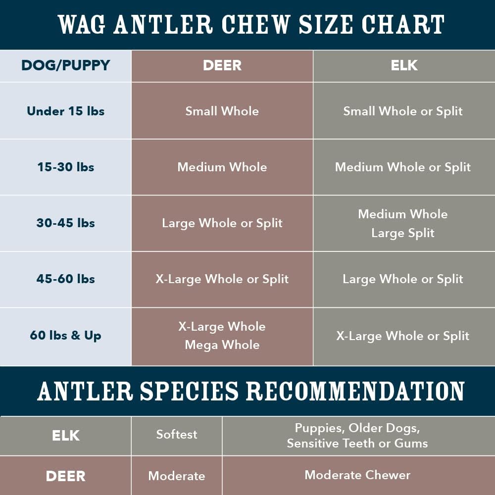 Amazon Brand - Wag Dog Elk Antler Chew, Naturally Shed, Whole, Large 8-9.5 inches, Long Lasting for Aggressive Chewers, Best for Dogs 30-45 lbs, 3.60 Ounce (Pack of 1)