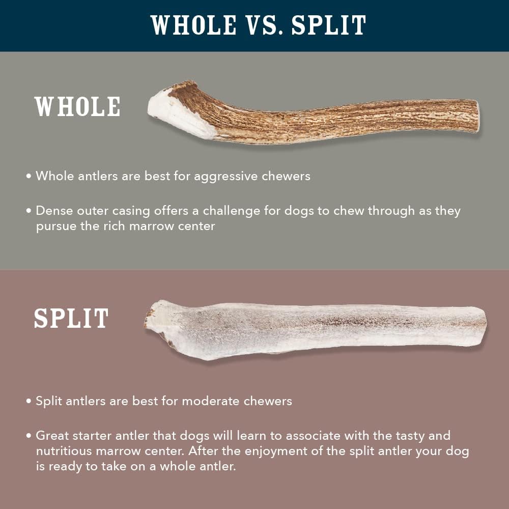 Amazon Brand - Wag Dog Elk Antler Chew, Naturally Shed, Whole, Large 8-9.5 inches, Long Lasting for Aggressive Chewers, Best for Dogs 30-45 lbs, 3.60 Ounce (Pack of 1)