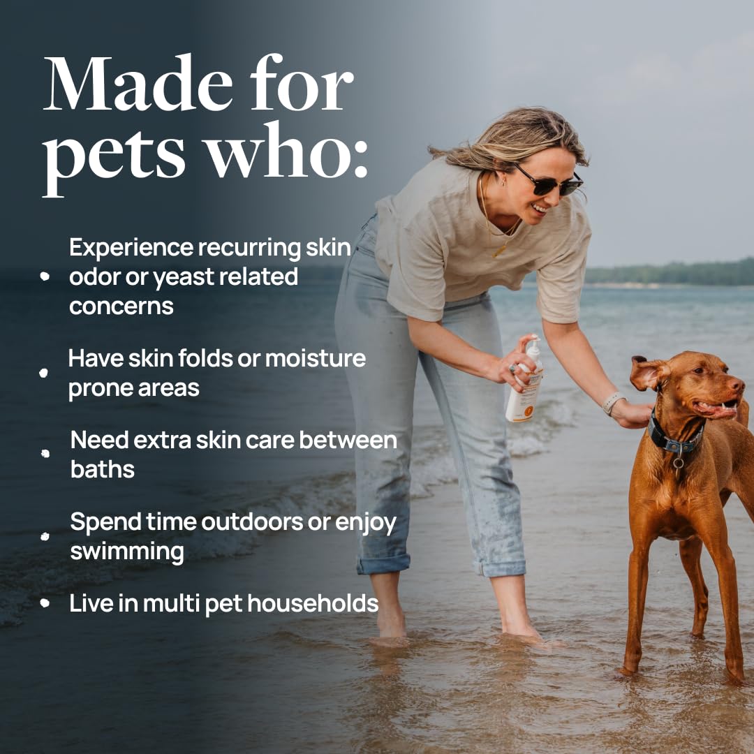 Veterinary Formula Clinical Care Antiseptic & Antifungal Medicated Shampoo and Spray for Dogs and Cats - Helps Alleviate Scaly, Greasy, or Red Skin - Paraben, Dye, and Soap Free, 2 Pack Bundle