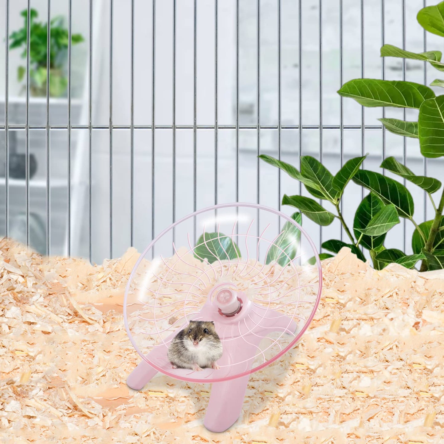 Wontee Hamster Water Bottle Water Dispenser Hamster Silent Exercise Running Wheel for Dwarf Hamsters Gerbil Mice (Blue, 80ML)