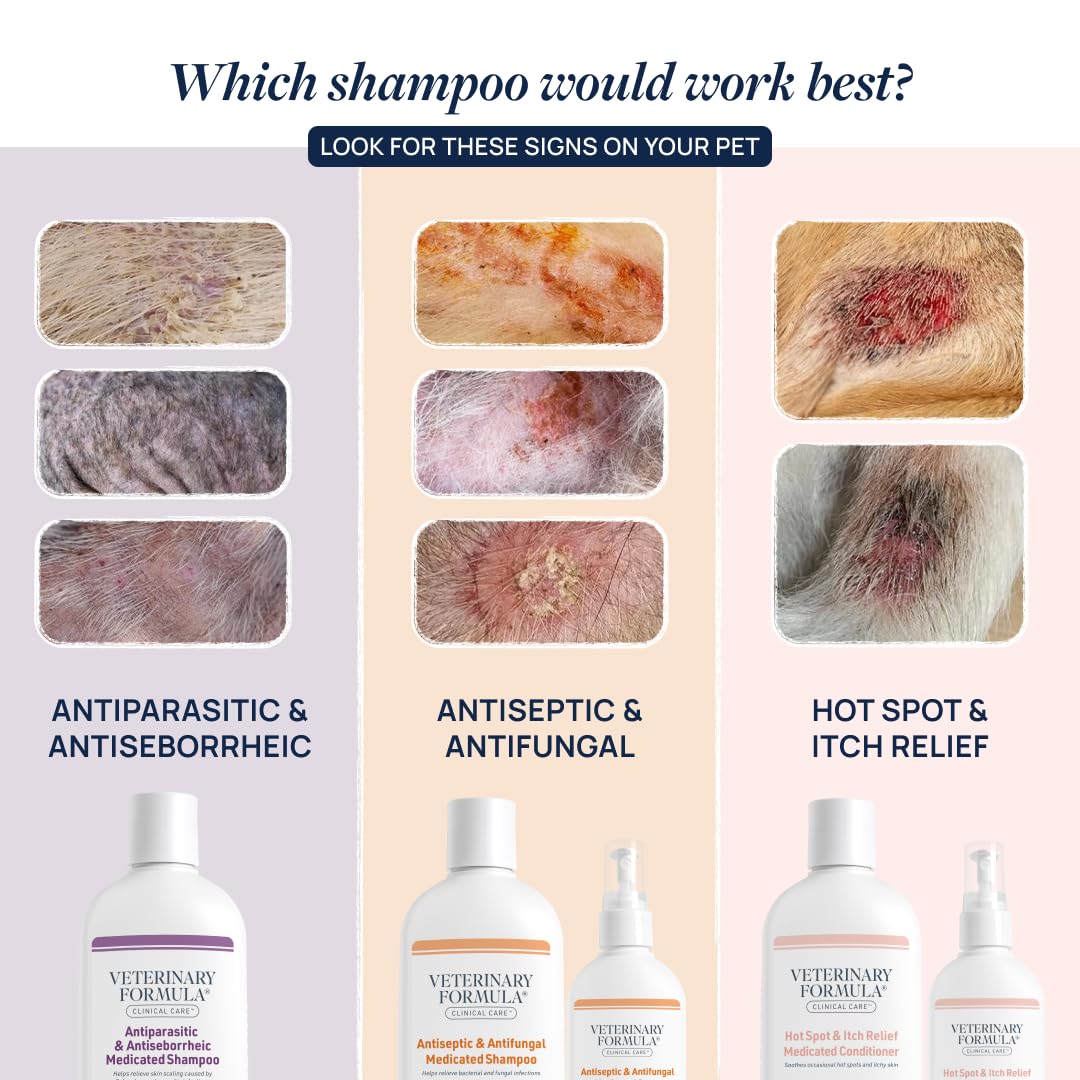 Veterinary Formula Clinical Care Antiseptic & Antifungal Medicated Shampoo and Spray for Dogs and Cats - Helps Alleviate Scaly, Greasy, or Red Skin - Paraben, Dye, and Soap Free, 2 Pack Bundle