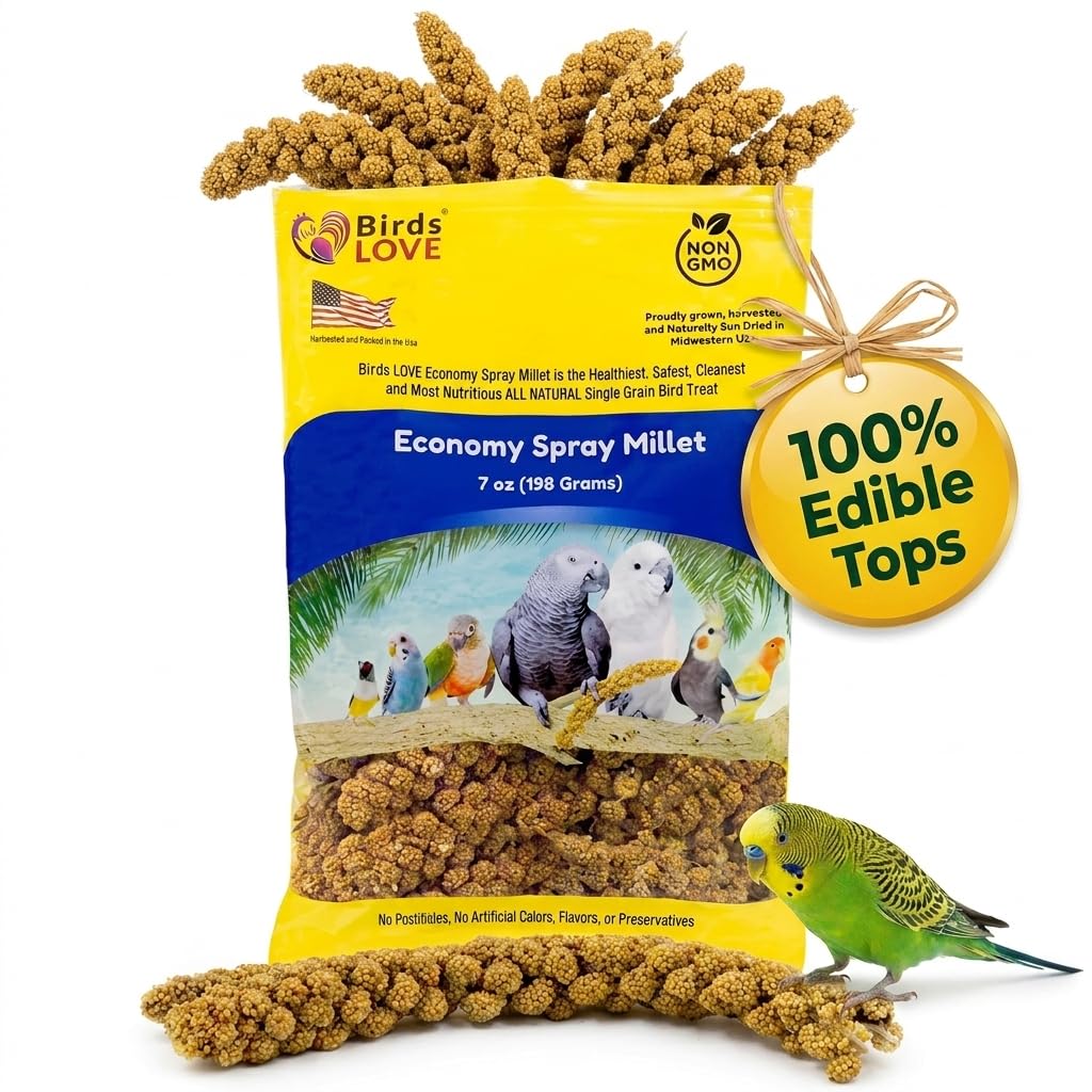 Birds LOVE® Millet Tips & Tails for Birds – Premium Spray Millet Treat, Grown in the USA – Natural & Healthy Bird Food for Parakeets, Cockatiels, Budgies, Lovebirds, Finches, Canaries & Parrots – 1 lb