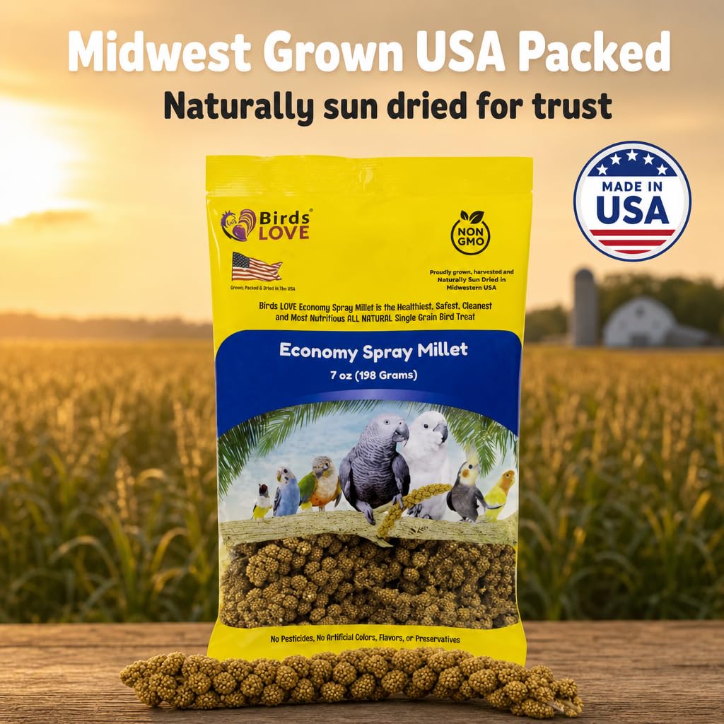 Birds LOVE® Millet Tips & Tails for Birds – Premium Spray Millet Treat, Grown in the USA – Natural & Healthy Bird Food for Parakeets, Cockatiels, Budgies, Lovebirds, Finches, Canaries & Parrots – 1 lb