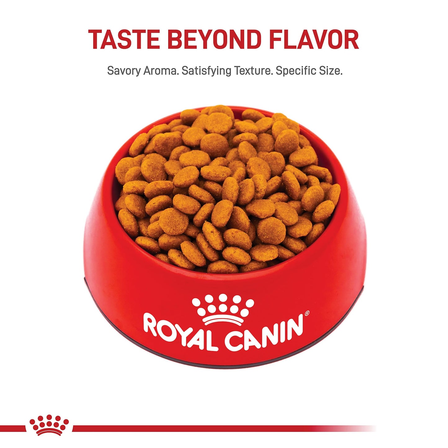 Royal Canin Size Health Nutrition Medium Adult Dry Dog Food, 4 lb Bag