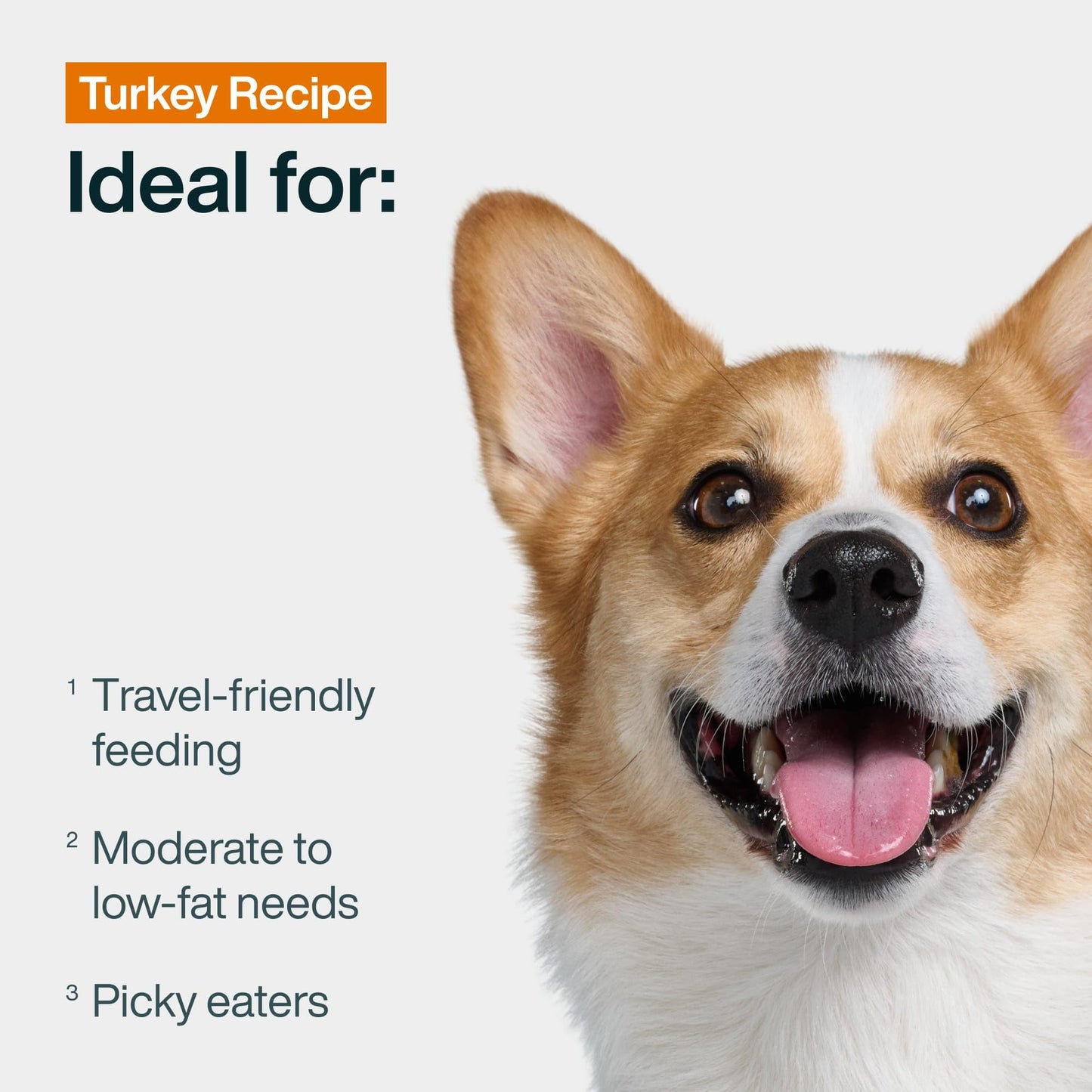 JustFoodForDogs JustFresh Wet Dog Food, Fresh Pet Meals and Toppers with No Preservatives, Resealable Package, Human Grade, Home-Cooked Chicken, 12 oz - 7 Pack