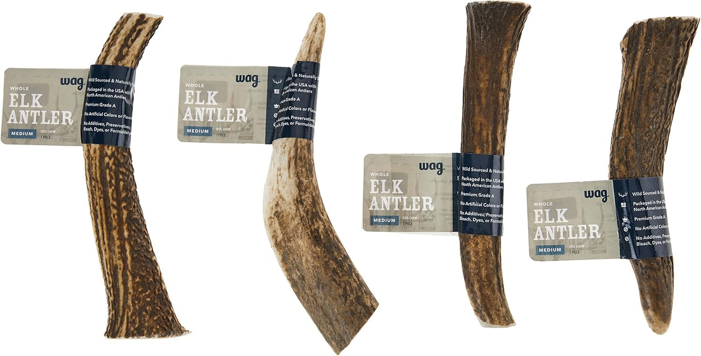 Amazon Brand - Wag Dog Elk Antler Chew, Naturally Shed, Whole, Large 8-9.5 inches, Long Lasting for Aggressive Chewers, Best for Dogs 30-45 lbs, 3.60 Ounce (Pack of 1)