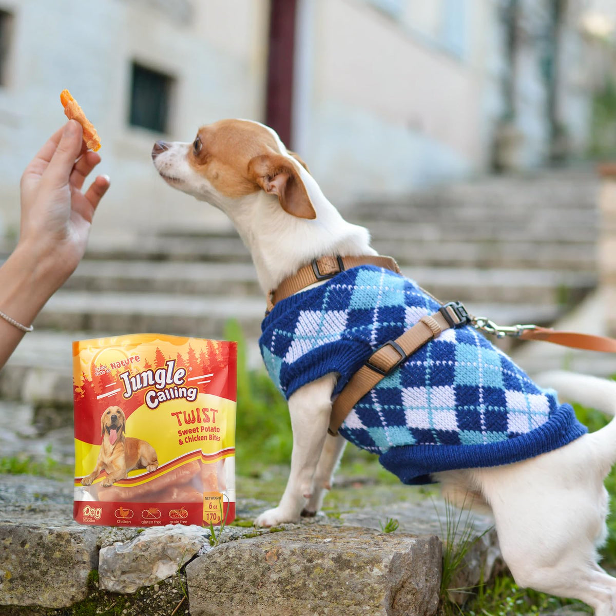 Jungle Calling Chicken & Sweet Potato Treats, Fiber-Rich, Digestible Chews