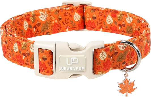 Maple Leaf Dog Collar, Fall Autumn Orange Leaf Dog Collar