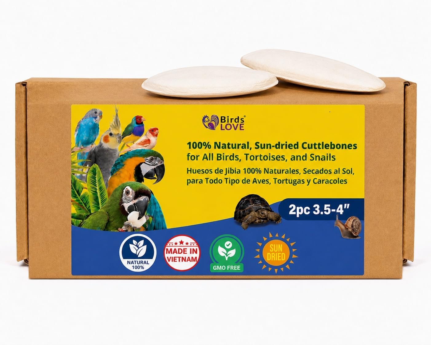 Birds LOVE 3.5-4″ Cuttlebone for Birds – 100% Natural Sun-Dried Calcium & Beak Conditioning Supplement for Parakeets, Budgies, Cockatiels, Finches & Canaries – 4 Pack with Holder – Made in Vietnam