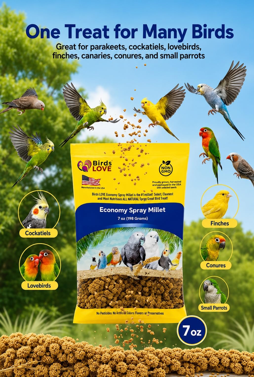 Birds LOVE® Millet Tips & Tails for Birds – Premium Spray Millet Treat, Grown in the USA – Natural & Healthy Bird Food for Parakeets, Cockatiels, Budgies, Lovebirds, Finches, Canaries & Parrots – 1 lb