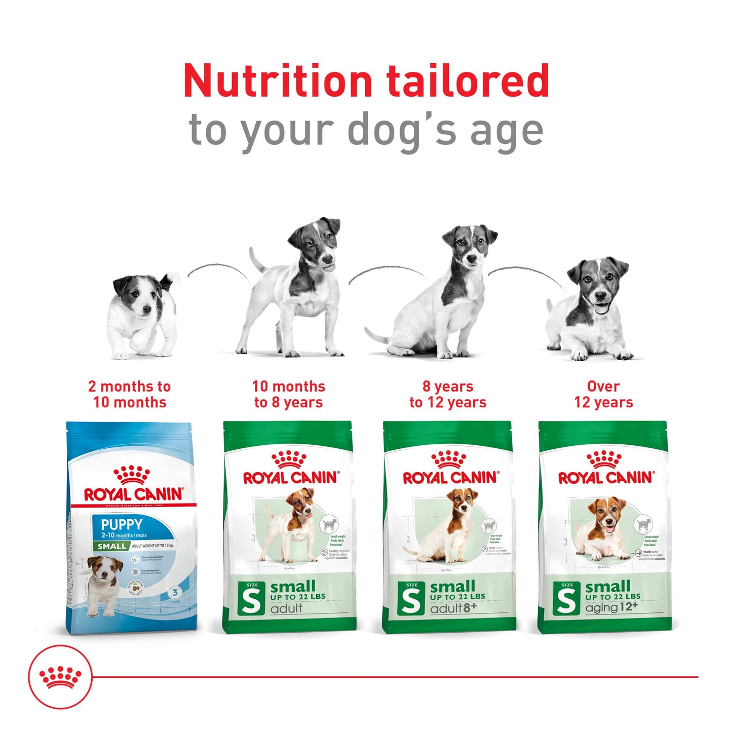 Royal Canin Size Health Nutrition Small Adult Dry Dog Food, 4 lb Bag
