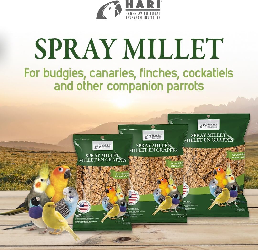 Living World - Millet Spray for Birds, 3.5 Oz – Premium Treat for Budgies, Canaries, Finches, Cockatiels and Other Pet Birds