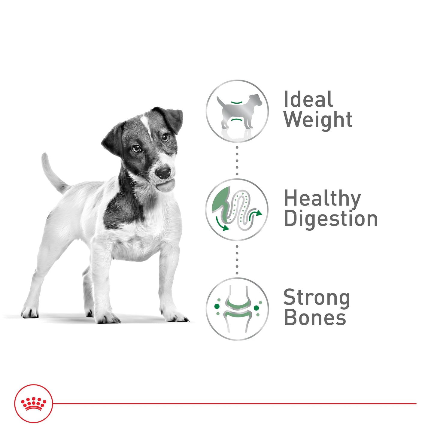 Royal Canin Size Health Nutrition Small Adult Dry Dog Food, 4 lb Bag