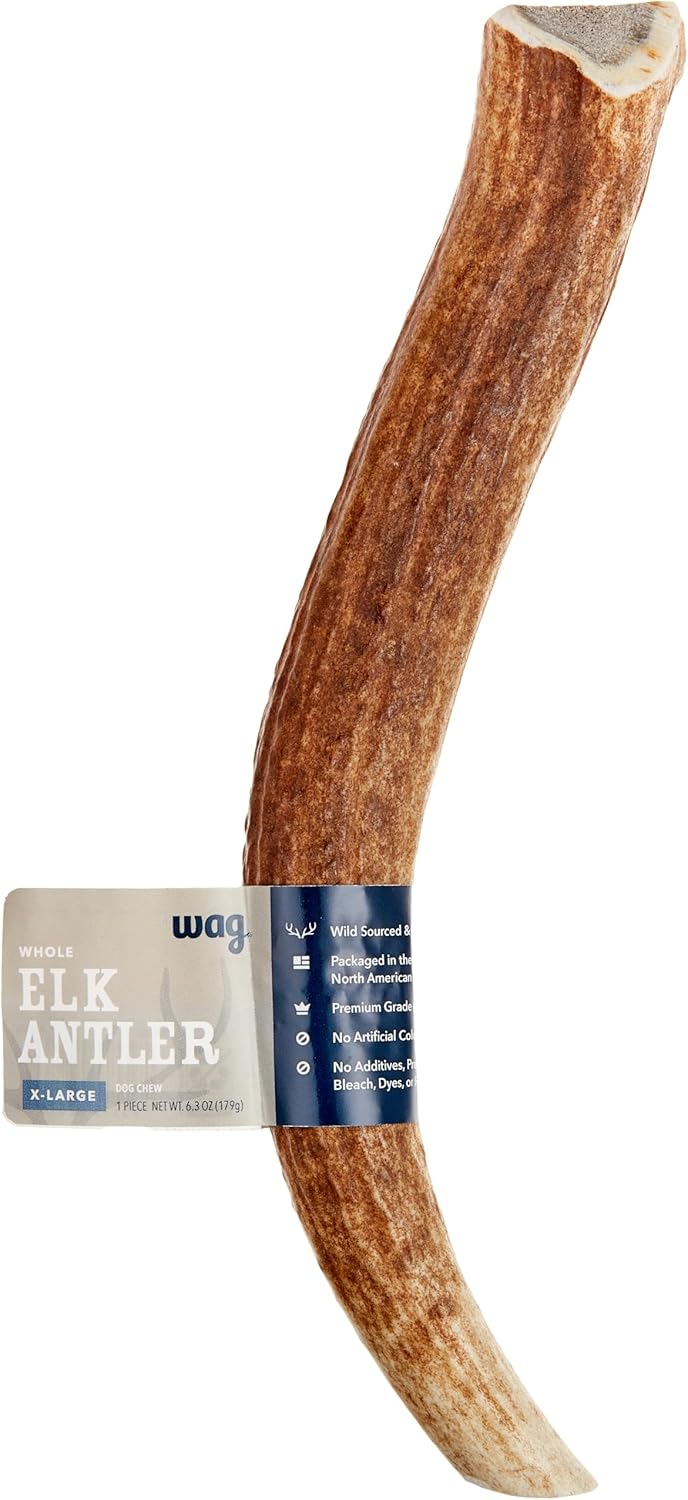 Amazon Brand - Wag Dog Elk Antler Chew, Naturally Shed, Whole, Large 8-9.5 inches, Long Lasting for Aggressive Chewers, Best for Dogs 30-45 lbs, 3.60 Ounce (Pack of 1)