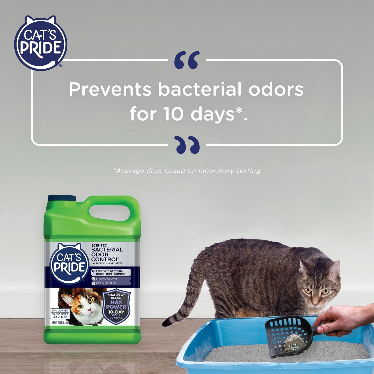 Cat's Pride Max Power: Total Odor Control - Up to 10 Days of Powerful Odor Control - Strong Clumping - 99% Dust Free - Multi-Cat Litter, Scented, 15 Pounds