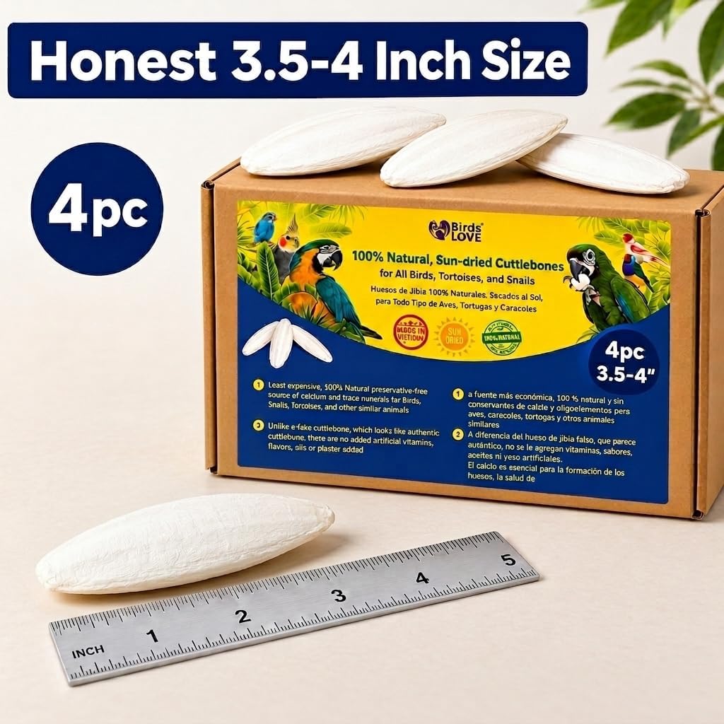 Birds LOVE 3.5-4″ Cuttlebone for Birds – 100% Natural Sun-Dried Calcium & Beak Conditioning Supplement for Parakeets, Budgies, Cockatiels, Finches & Canaries – 4 Pack with Holder – Made in Vietnam