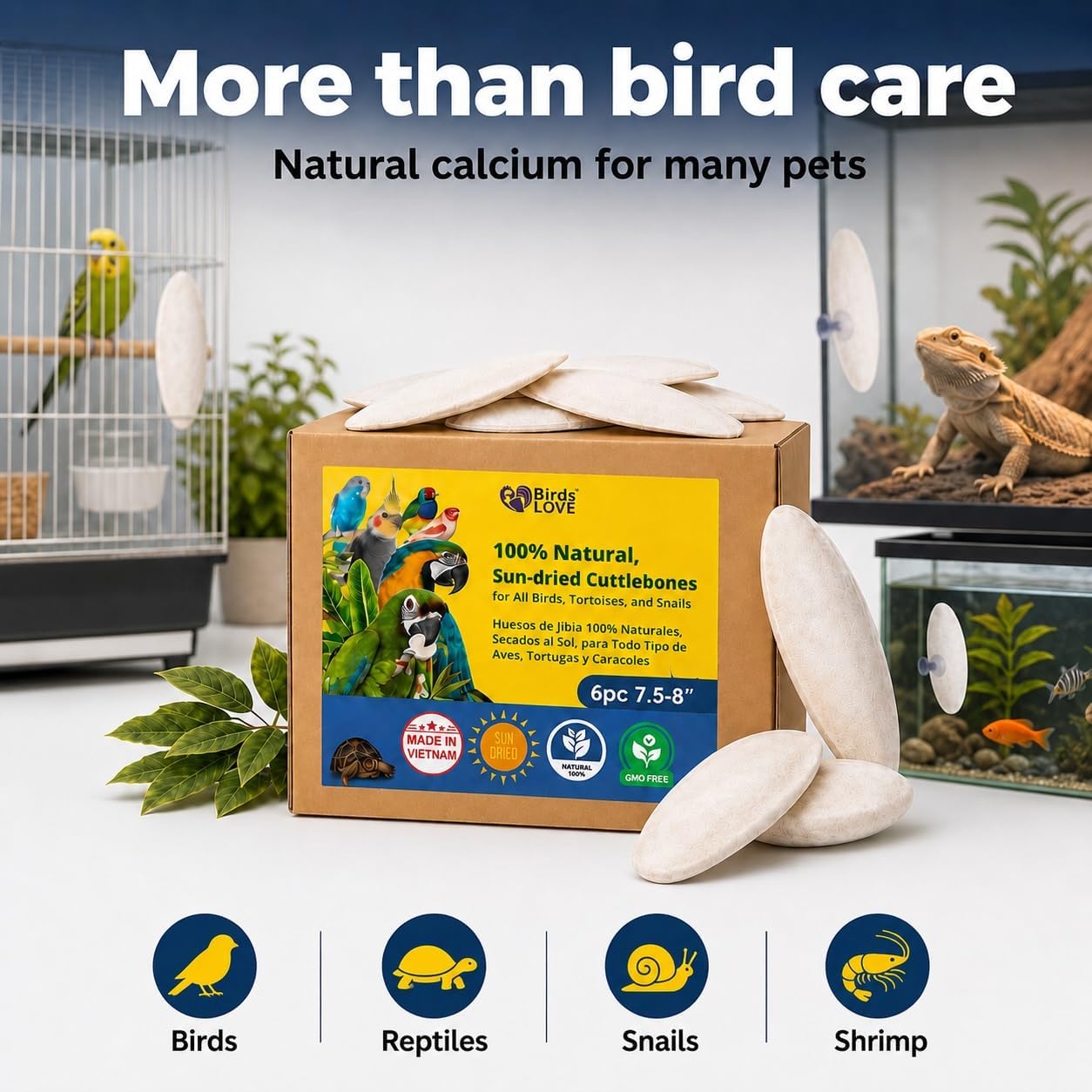 Birds LOVE 3.5-4″ Cuttlebone for Birds – 100% Natural Sun-Dried Calcium & Beak Conditioning Supplement for Parakeets, Budgies, Cockatiels, Finches & Canaries – 4 Pack with Holder – Made in Vietnam