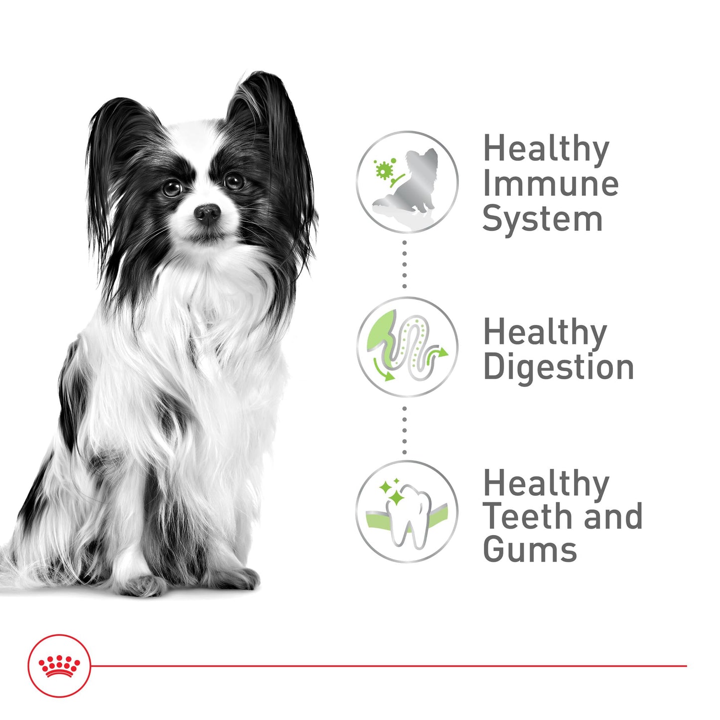 Royal Canin Size Health Nutrition X-Small 7+ Adult Dry Dog Food, 2.5 lb Bag
