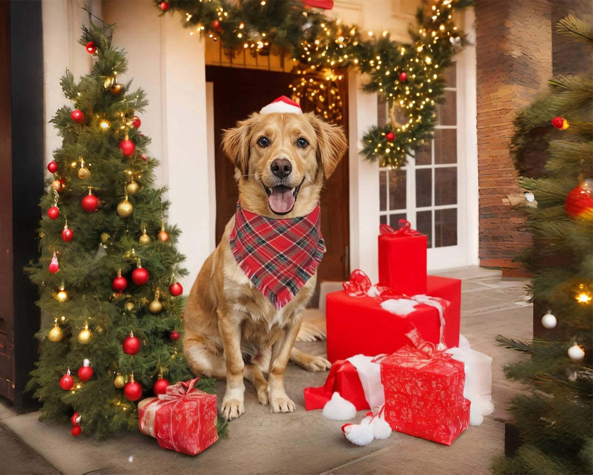 Christmas Dog Bandanas 2PCS-Large,Red-Green Plaid Scarf w/Tassels for Dogs