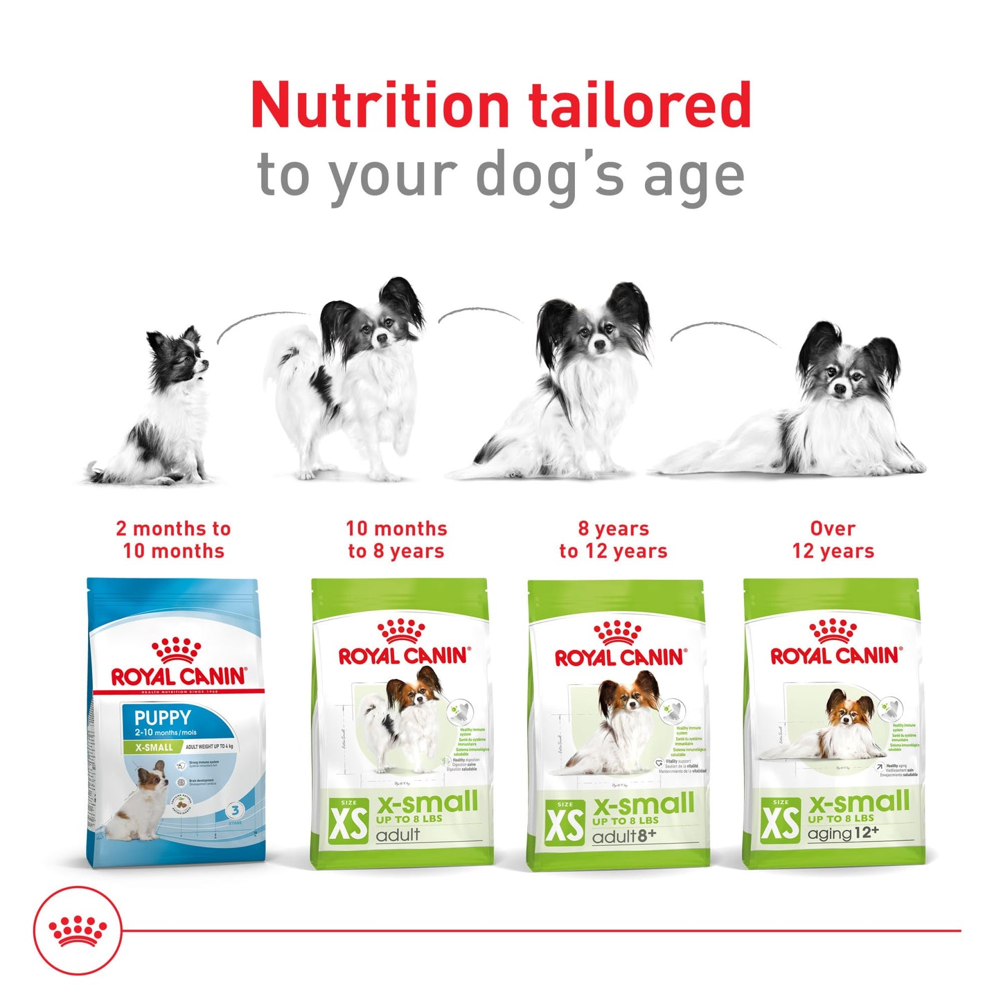 Royal Canin Size Health Nutrition X-Small 7+ Adult Dry Dog Food, 2.5 lb Bag
