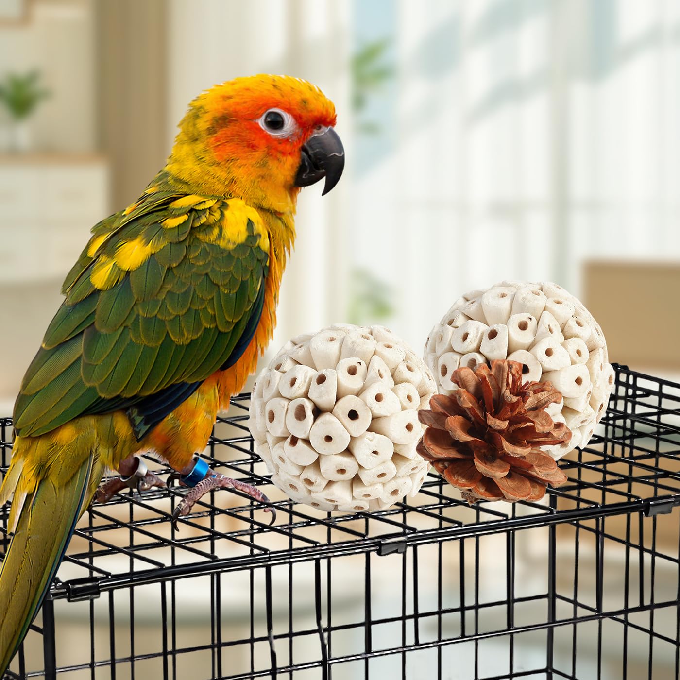 Kyouki Bird Toys Parrot Toys Natural Bird Foraging Box Foot for Parakeets,Cockatiels,Conures,Love Birds,and Other Small to Medium Birds (Medium)